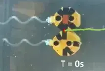 IROS 2026 Flagellated swarm